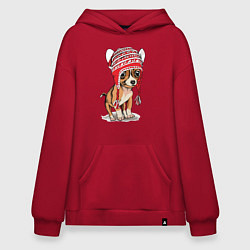 Худи оверсайз Чихуахуа в шапочке