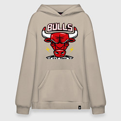 Худи оверсайз Chicago Bulls est. 1966