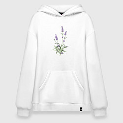 Толстовка-худи оверсайз Lavanda, цвет: белый
