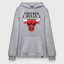 Толстовка-худи оверсайз Chicago Bulls, цвет: меланж