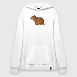 Худи оверсайз Капибара сидит и спит