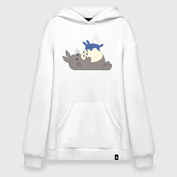 Худи оверсайз Тоторо спит