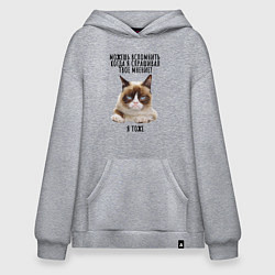 Толстовка-худи оверсайз Кот-ворчун мем, цвет: меланж