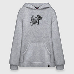 Худи оверсайз Коала отдыхает