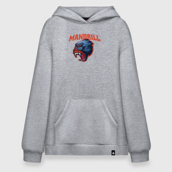 Толстовка-худи оверсайз Мандрил, цвет: меланж