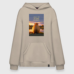 Худи оверсайз Капибара на берегу реки: страх это не повод не дел