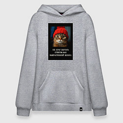 Худи оверсайз Мем котик в шапочке: не хочу портить ответом ваш в