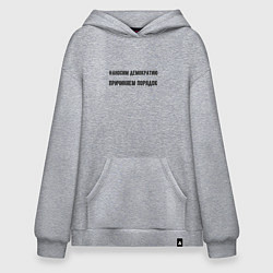 Худи оверсайз Наносим демократию