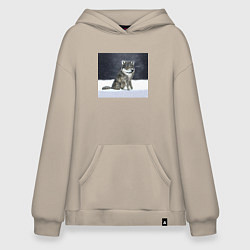 Худи оверсайз Волк ауффф мем