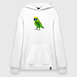 Толстовка-худи оверсайз Зеленый попугай, цвет: белый