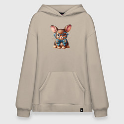 Худи оверсайз Кролик мальчик в очках