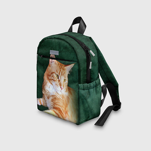 Детский рюкзак Мейн кун рыжий кот / 3D-принт – фото 3