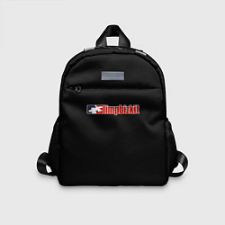 Детский рюкзак Limp Bizkit logo rock, цвет: 3D-принт