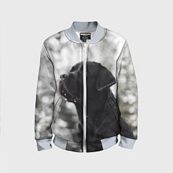 Бомбер детский Лабрадор Марк, цвет: 3D-серый