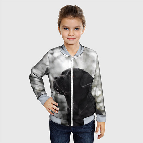 Детский бомбер Лабрадор Марк / 3D-Серый – фото 4