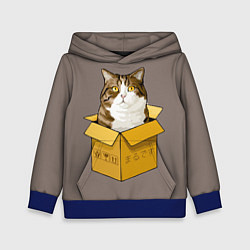 Толстовка-худи детская Котик в коробке, цвет: 3D-синий