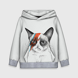 Толстовка-худи детская David Bowie: Grumpy cat, цвет: 3D-меланж