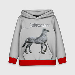 Толстовка-худи детская Hippogriff, цвет: 3D-красный