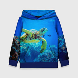 Толстовка-худи детская Морская черепаха, цвет: 3D-синий