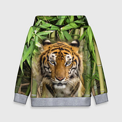 Толстовка-худи детская Матёрый тигр в зарослях бамбука, цвет: 3D-меланж