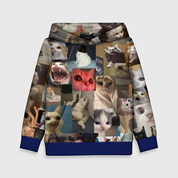 Толстовка-худи детская Мемные котики, цвет: 3D-синий