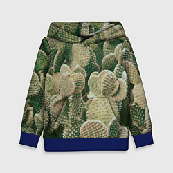 Детская толстовка Поле кактусов