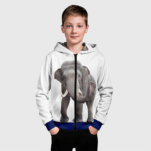 Детская толстовка на молнии Большой слон / 3D-Синий – фото 3
