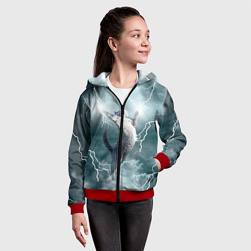 Детская толстовка на молнии Грозовой кошак / 3D-Красный – фото 4
