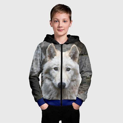 Детская толстовка на молнии Волк / 3D-Синий – фото 3