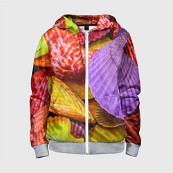 Детская толстовка на молнии Разноцветные ракушки multicolored seashells