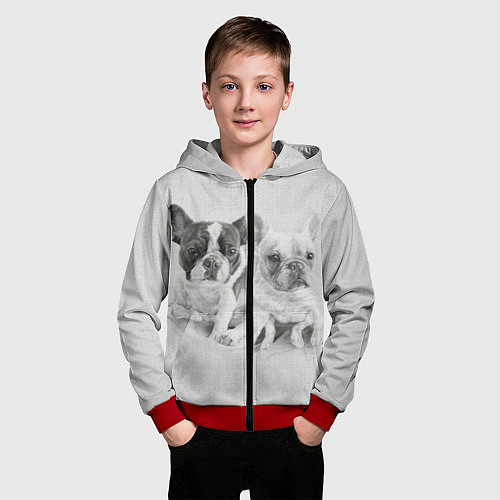Детская толстовка на молнии Французские бульдоги пара текстура стены / 3D-Красный – фото 3