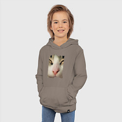 Толстовка детская хлопковая Котик, цвет: утренний латте — фото 2