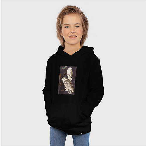 Детская толстовка-худи Snowy Owl Сова / Черный – фото 3