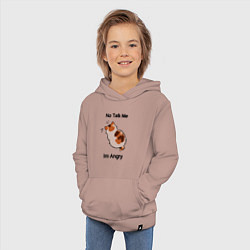 Толстовка детская хлопковая Обиженный котик - not talk to me am angry, цвет: пыльно-розовый — фото 2
