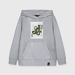 Детская толстовка-худи Змея 2025 Y2K