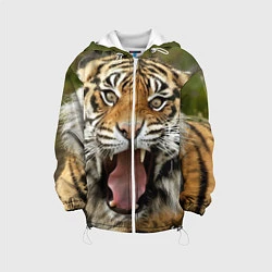 Куртка с капюшоном детская Удивленный тигр, цвет: 3D-белый
