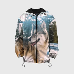 Куртка с капюшоном детская Волк и снег, цвет: 3D-черный
