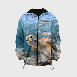 Детская куртка Морская черепаха