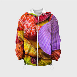 Детская куртка Разноцветные ракушки multicolored seashells