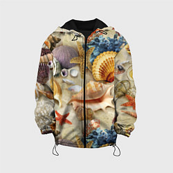 Куртка с капюшоном детская Морские раковины, кораллы, морские звёзды на песке, цвет: 3D-черный
