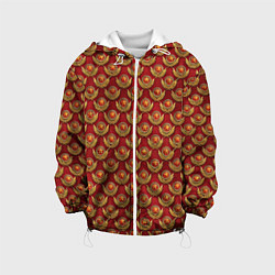 Куртка с капюшоном детская Красные звезды СССР, цвет: 3D-белый