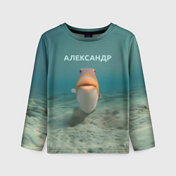 Детский лонгслив Рыба - Александр