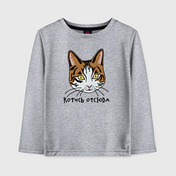 Лонгслив хлопковый детский Котись отсюда, цвет: меланж