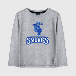 Лонгслив хлопковый детский Tennessee smokies - baseball team, цвет: меланж