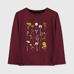 Лонгслив хлопковый детский Акварельная иллюстрация полевых цветов, цвет: меланж-бордовый