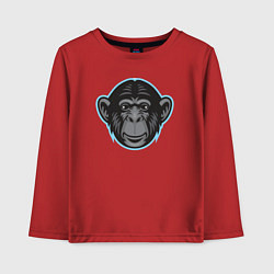 Детский лонгслив Funny monkey