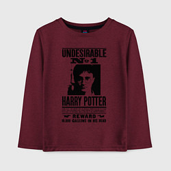 Детский лонгслив Harry Potter - wanted