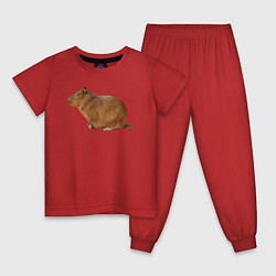 Пижама хлопковая детская Капибара сидит и спит, цвет: красный