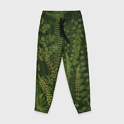 Детские брюки Цветы Зеленые Папоротники