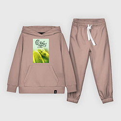 Костюм хлопковый детский Символ 2025 года зеленая змея и надпись: с новым г, цвет: пыльно-розовый